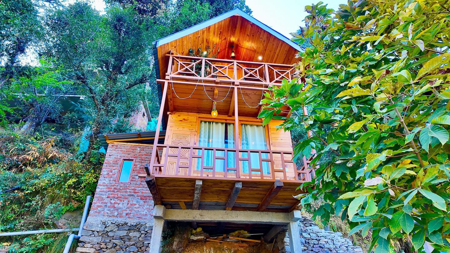 Woodland Treehouse Jibhi surrounded by trees