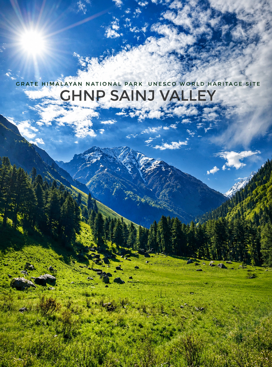 Open green meadow beneath forested Himalayan slopes