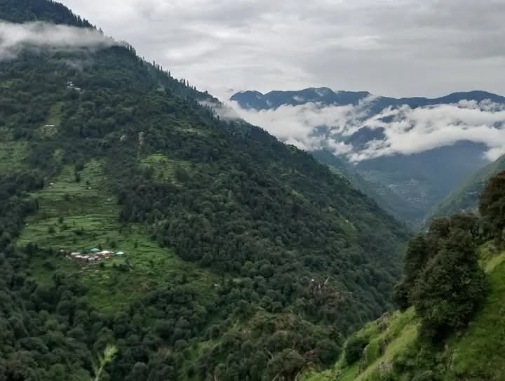 Clouds drifting through a forested Himalayan valley