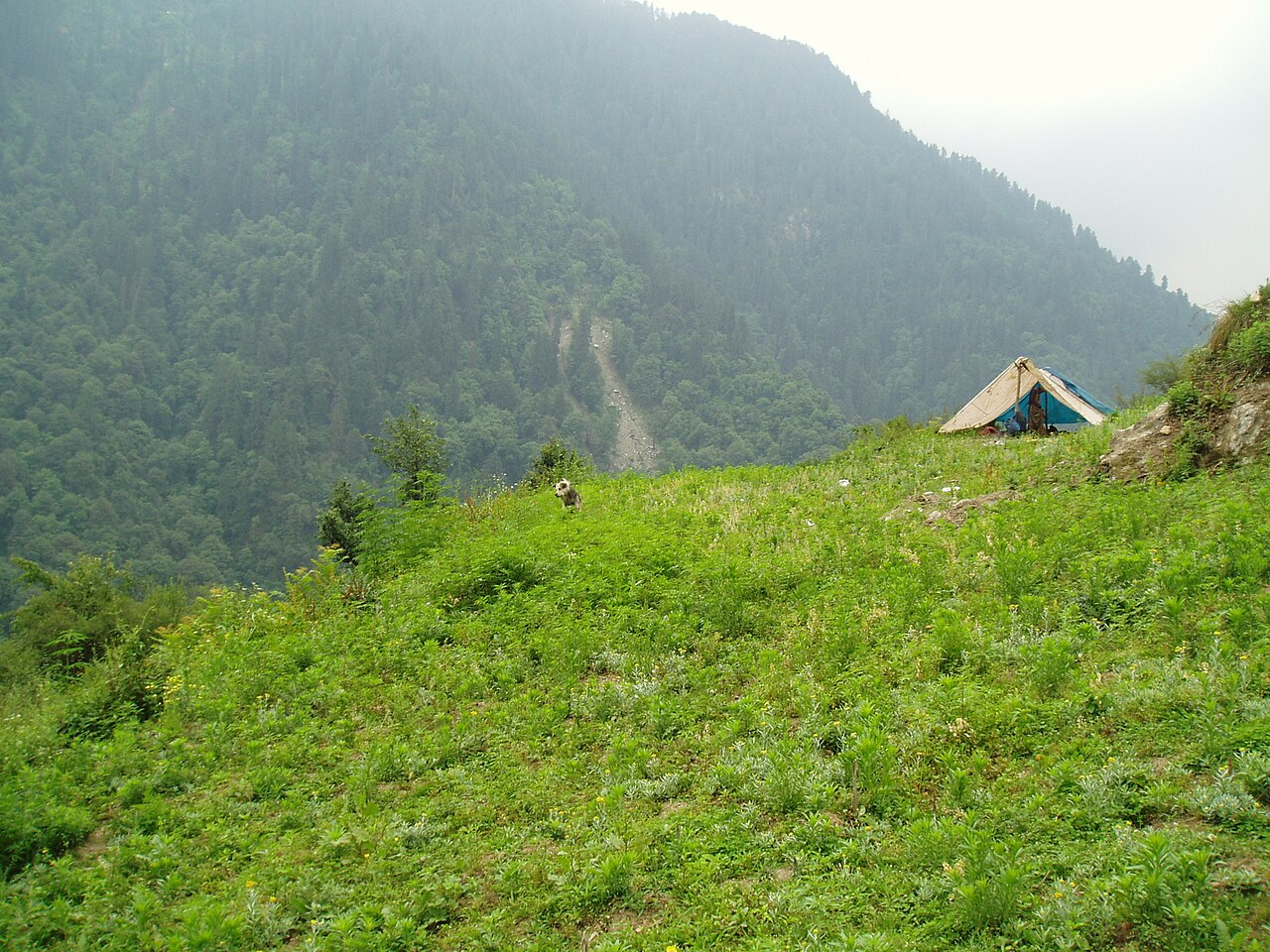 Remote green mountain landscape at Bagishayadi in GHNP