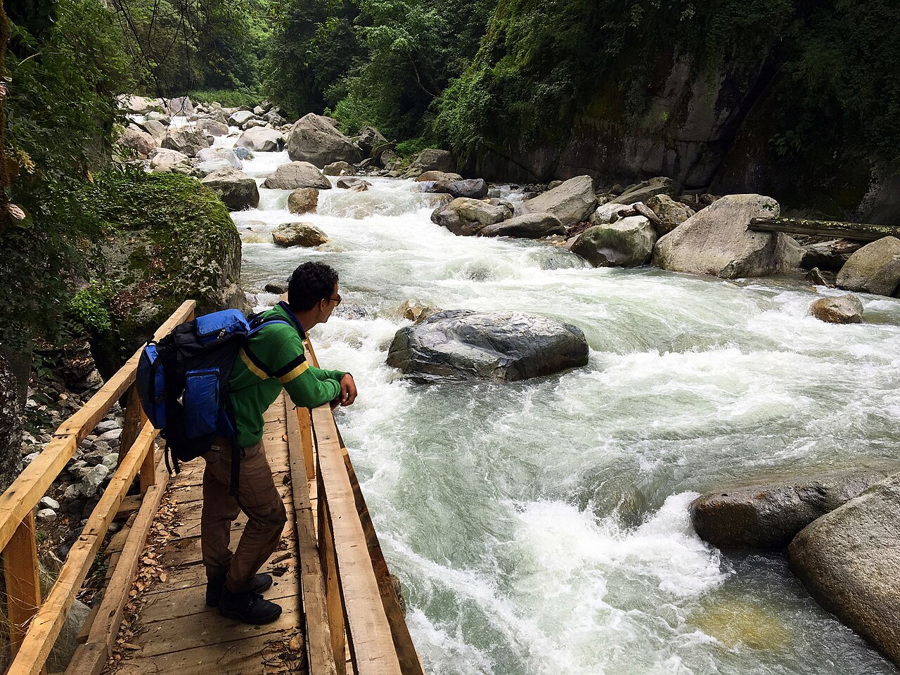 A trekker beside fast-flowing Tirthan River rapids in GHNP